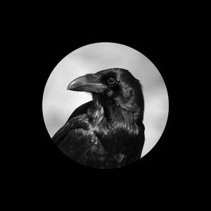 看老贵妇性爱视频
